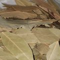 Bay Leaves