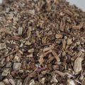 Echinacea Root