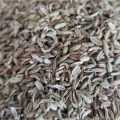 Fennel Seed