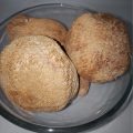 Lions Mane Mushrooms